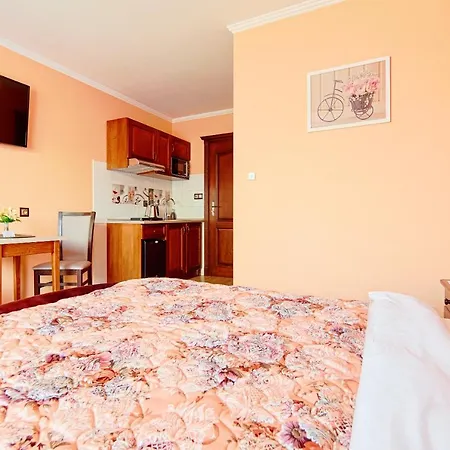 Sichelscy - I Z Aneksami Kuchennymi - Atrakcyjne Rabaty Na Termy! 3* Biały Dunajec